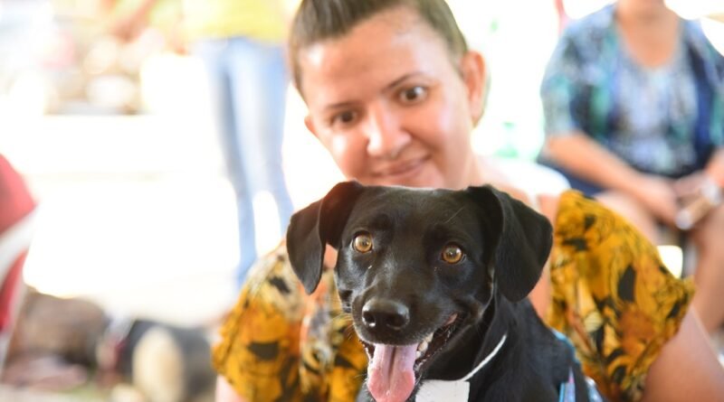 Castração social beneficia mais de 600 cães em Aparecida